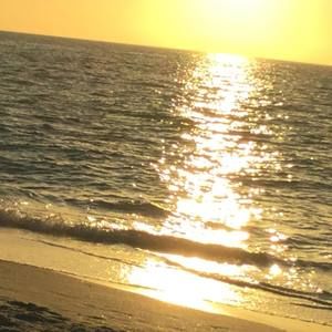 Meet your Posher, Rosa